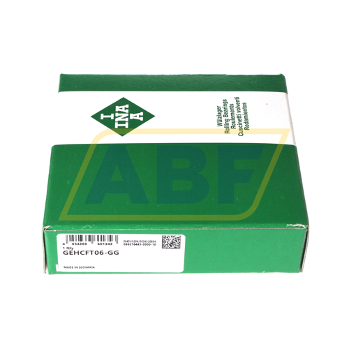 GEHCFT06-GG INA