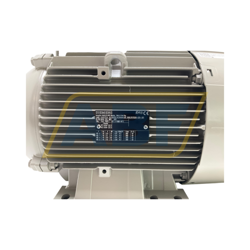 1LE1004-1CA13-4AA4 Siemens