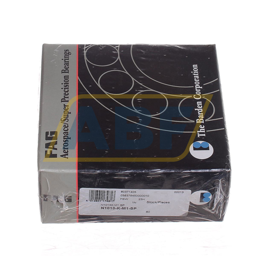 N1013-K-M1-SP FAG