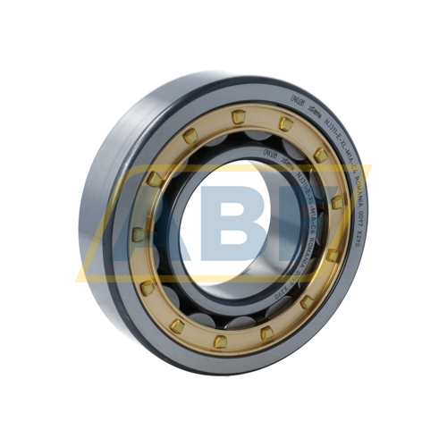 NJ311-E-XL-M1A-C4 FAG