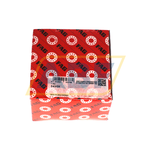 54309 FAG