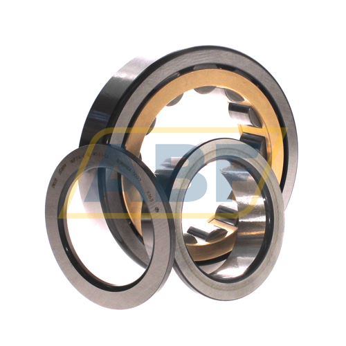 NUP314-E-XL-M1-F1-C4 FAG