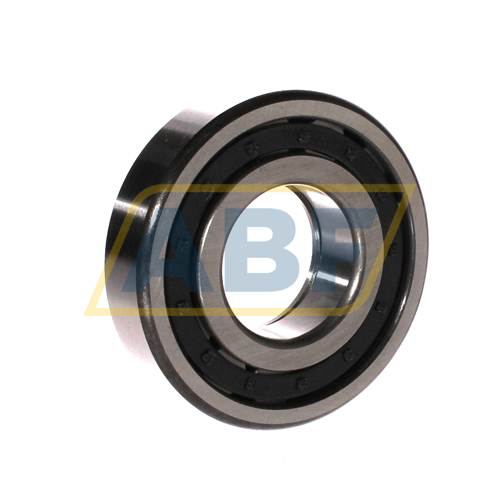 NUP309E C3 FBJ