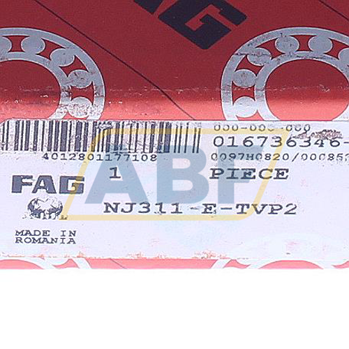 NJ311-E-TVP2 FAG