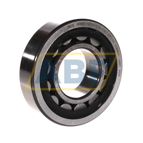 NJ309-E-XL-TVP2-QP51-C4 FAG