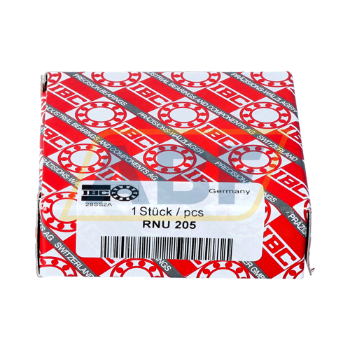 RNU205 IBC Bearings