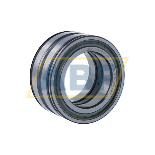 SL045010-PP-2NR-C3-L091 INA