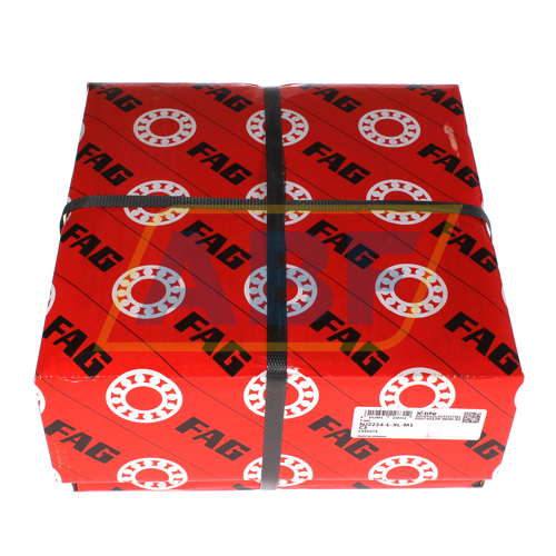 NJ2224-E-XL-M1-C3 FAG