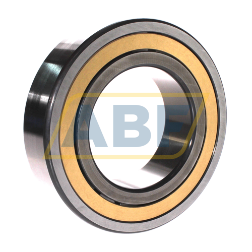 NJ2219-E-XL-M1A-C3 FAG