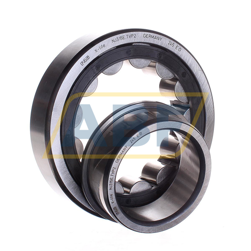 NJ315E.TVP2 FAG