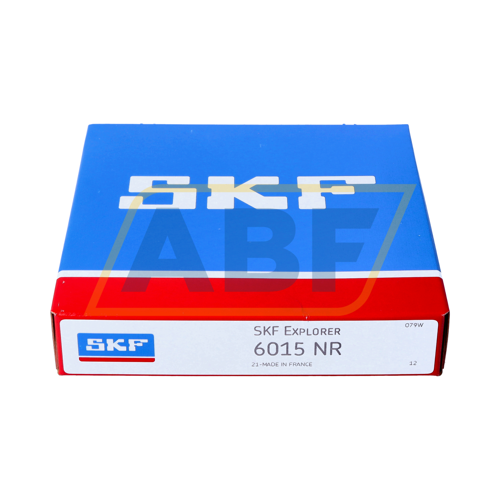6015NR SKF