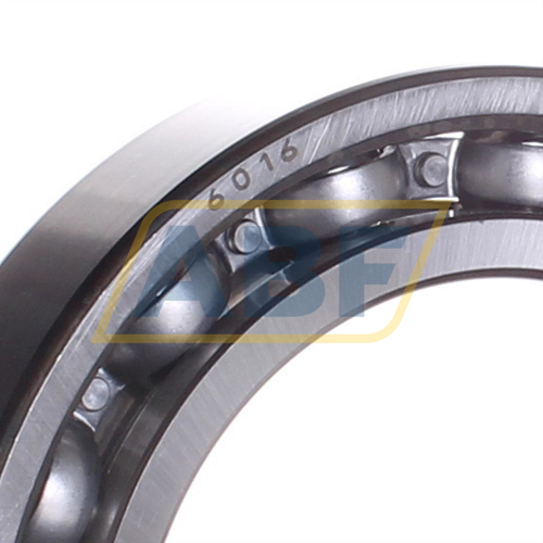 6016 SKF