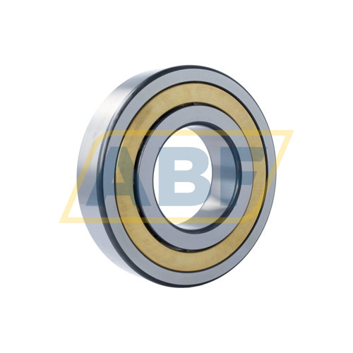 NJ320-E-XL-M1A-C4 FAG