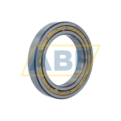 6020-MA-P5-S1-C4 FAG