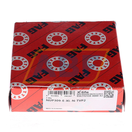 NUP309-E-XL-N-TVP2 FAG