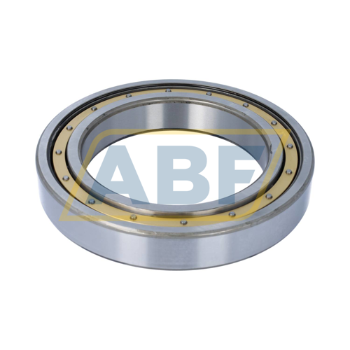 6032M SKF