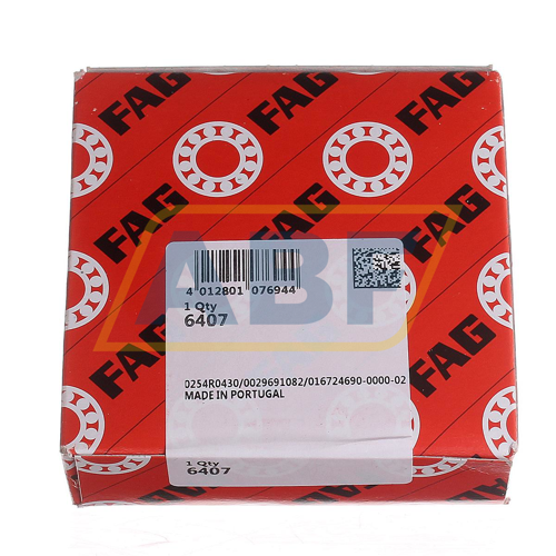 6407 FAG