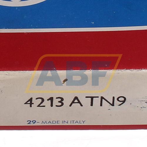 4213ATN9 SKF