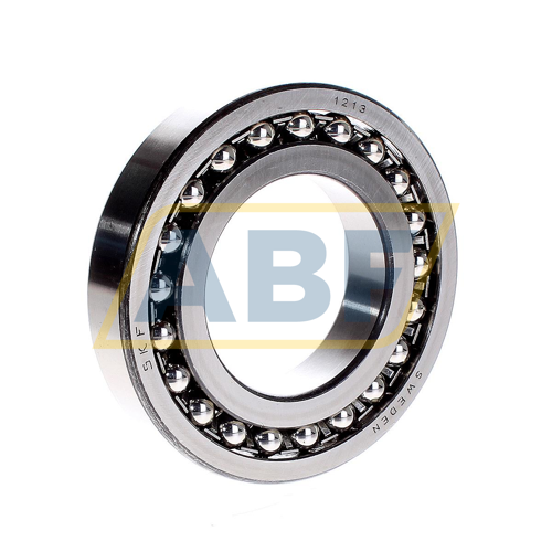 1213 SKF