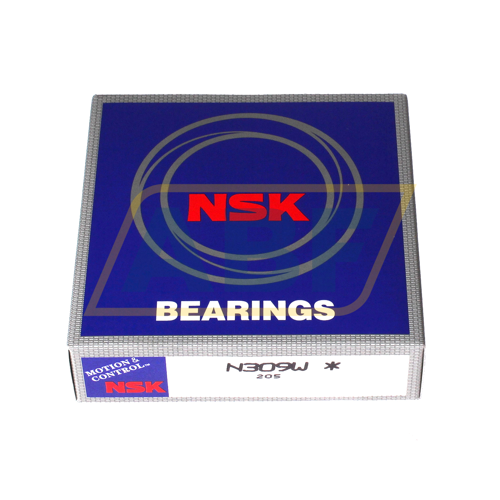 N309W NSK