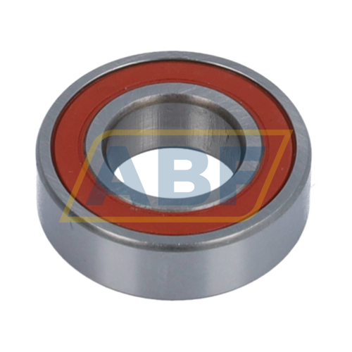 6003-2RS Bing Netherlands