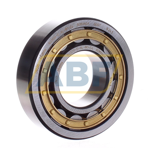 NJ309-E-XL-M1-C4 FAG