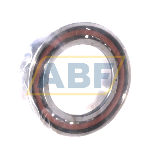 B7009-E-T-P4S-H146BA-UL FAG