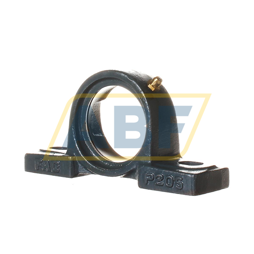 P205 FAG