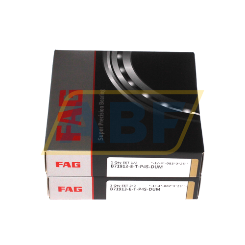 B71913-E-T-P4S-DUM FAG