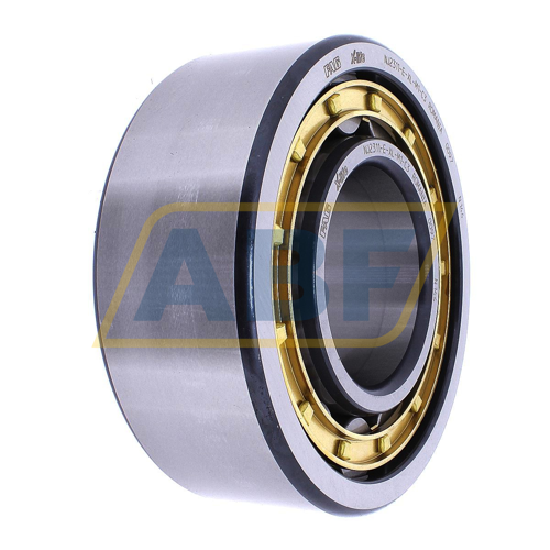 NJ2311-E-XL-M1-C3 FAG