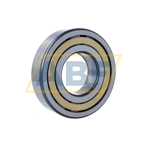 NUP313-E-XL-M1-C3 FAG