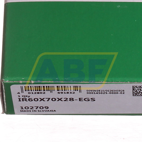 IR60X70X28-EGS INA