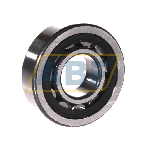 NU305-E-XL-TVP2-C3 FAG