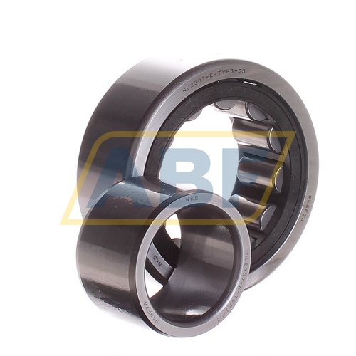 NU2307-E-TVP3-C3 NKE