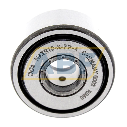 NATR10-X-PP-A INA