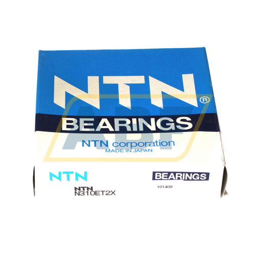 N310ET2X NTN