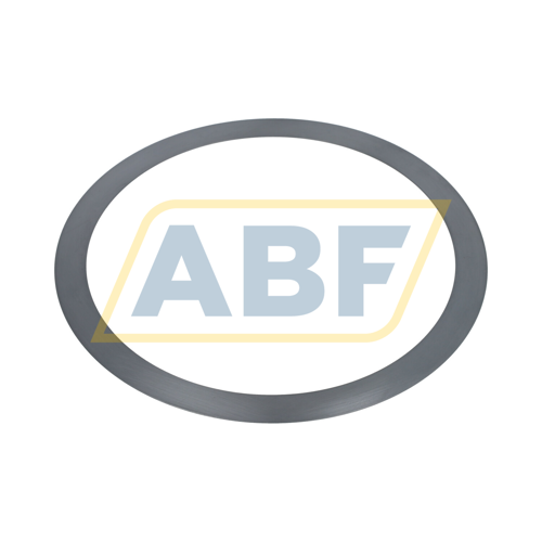 PS170X200X0,5 Seeger