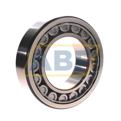 NU2220ECJ/C3 SKF