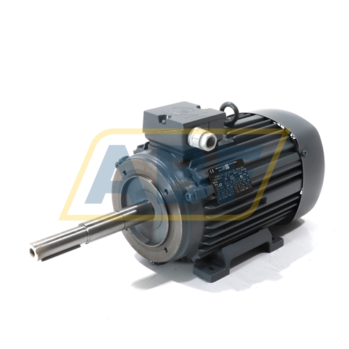 IE2-WE1R100L4FANHFDS VEM