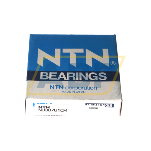 NU307G1 CM NTN