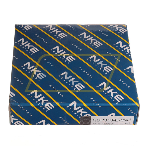 NUP313-E-MA6 NKE