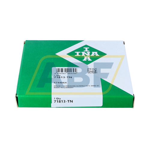 71813-TN INA