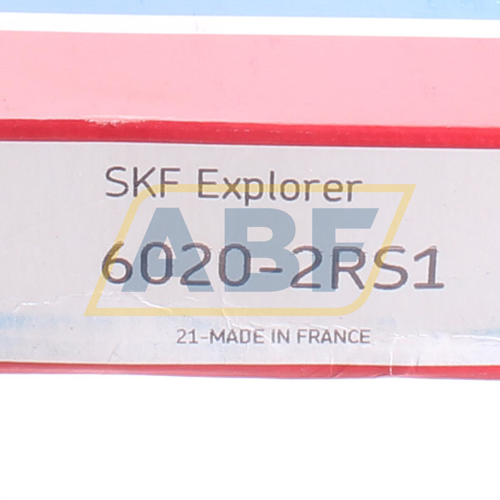 6020-2RS1 SKF