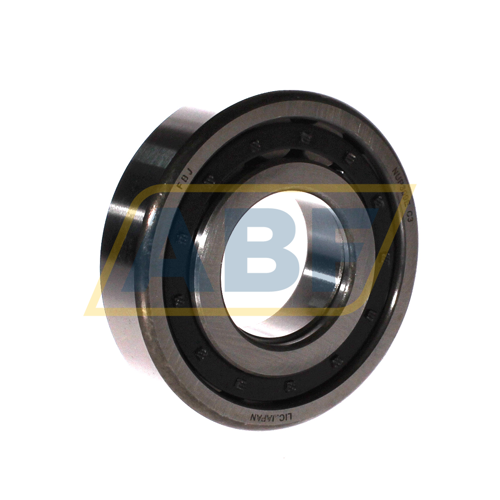 NUP309E C3 FBJ