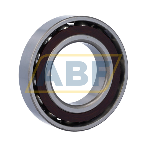 431880T SKF