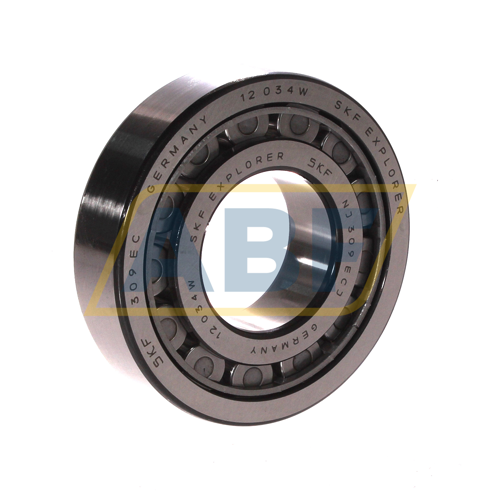 NJ309ECJ SKF