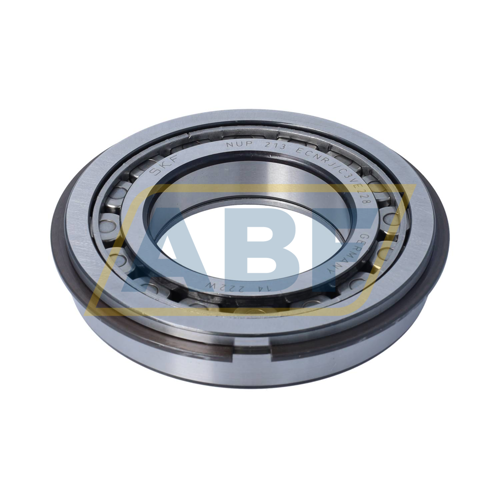NUP213ECNRJ/C3VE228 SKF