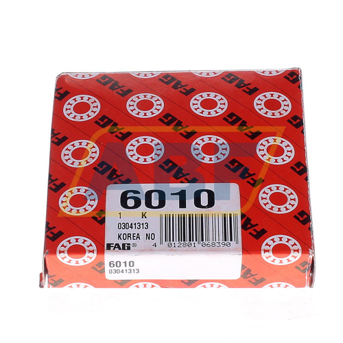 6010 FAG