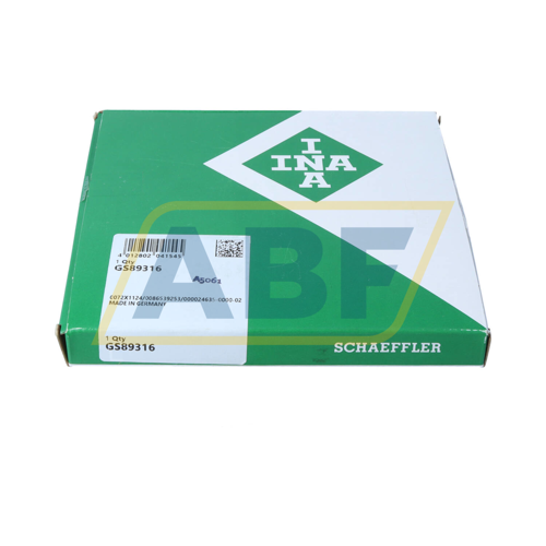 GS89316 INA