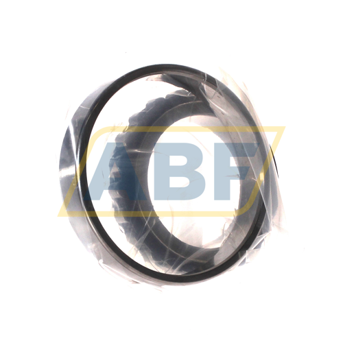 N1011-D-K-TVP-SP-XL FAG